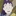 立花仙蔵