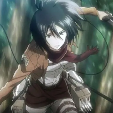 Profile image of 미카사