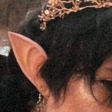 Profile image of Elarion
