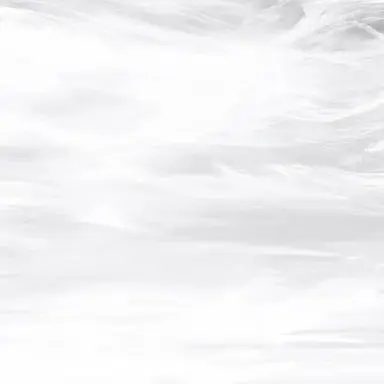 Profile image of ラウ