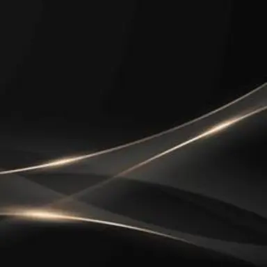 Profile image of 蓮