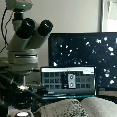 Profile image of 상우