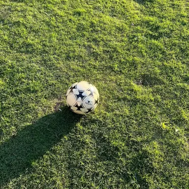 Profile image of 대호