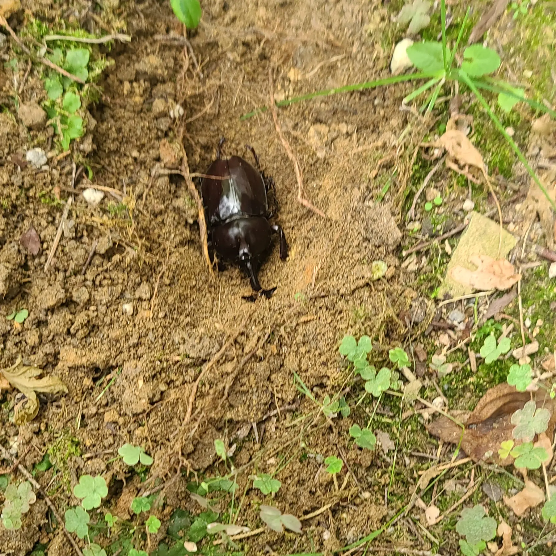 JoyfulEgg7568의 마법천자문, 삼장이  날 실험한다