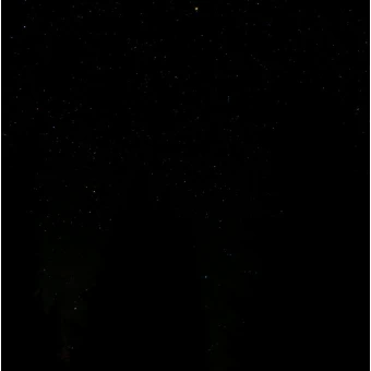 권숝영