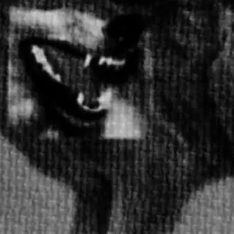 Profile image of 표만식
