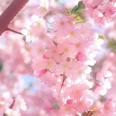 Profile image of 연구원