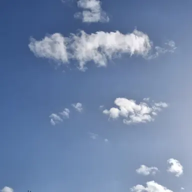 Profile image of 히가시카타 죠스케