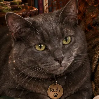 Profile image of Rudy