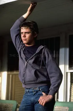 Profile image of ponyboy curtis