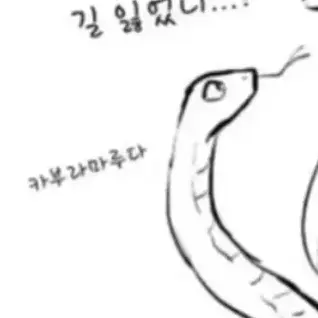 Profile image of 카부라마루