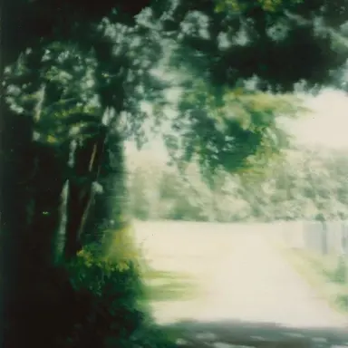 Profile image of 배정우