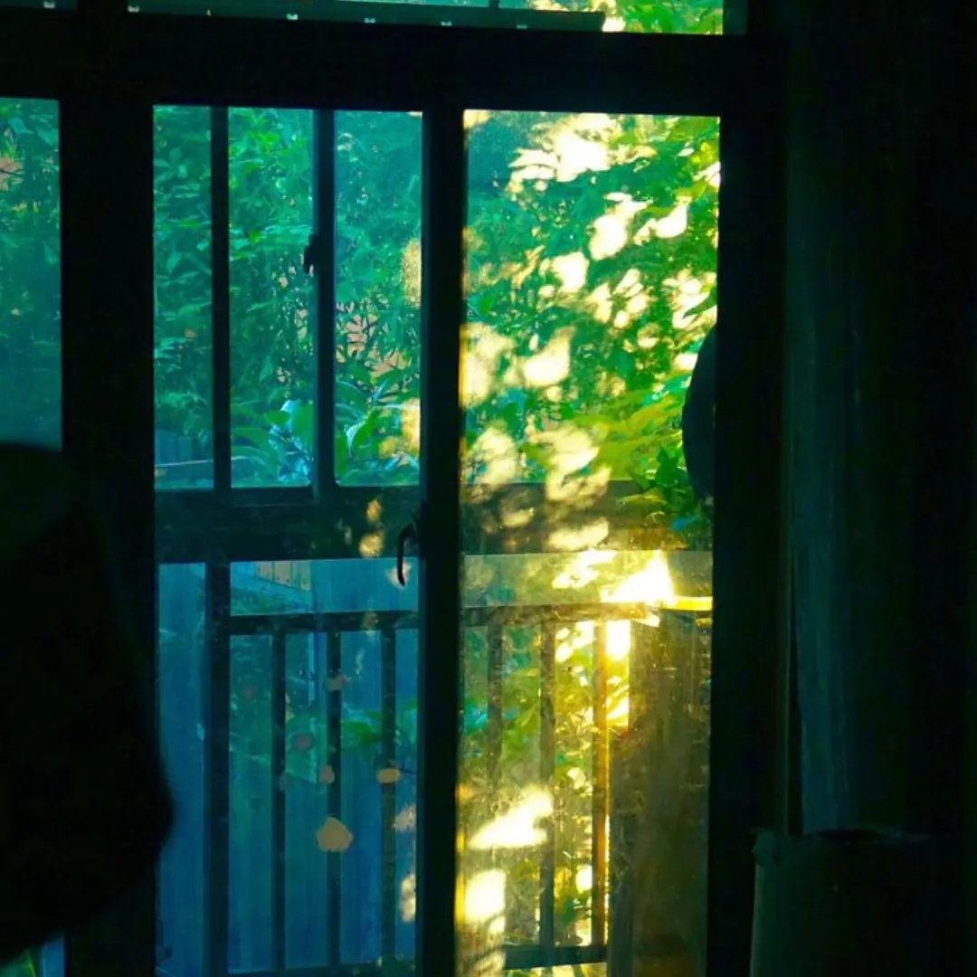 LuvluvS2의 환상구조