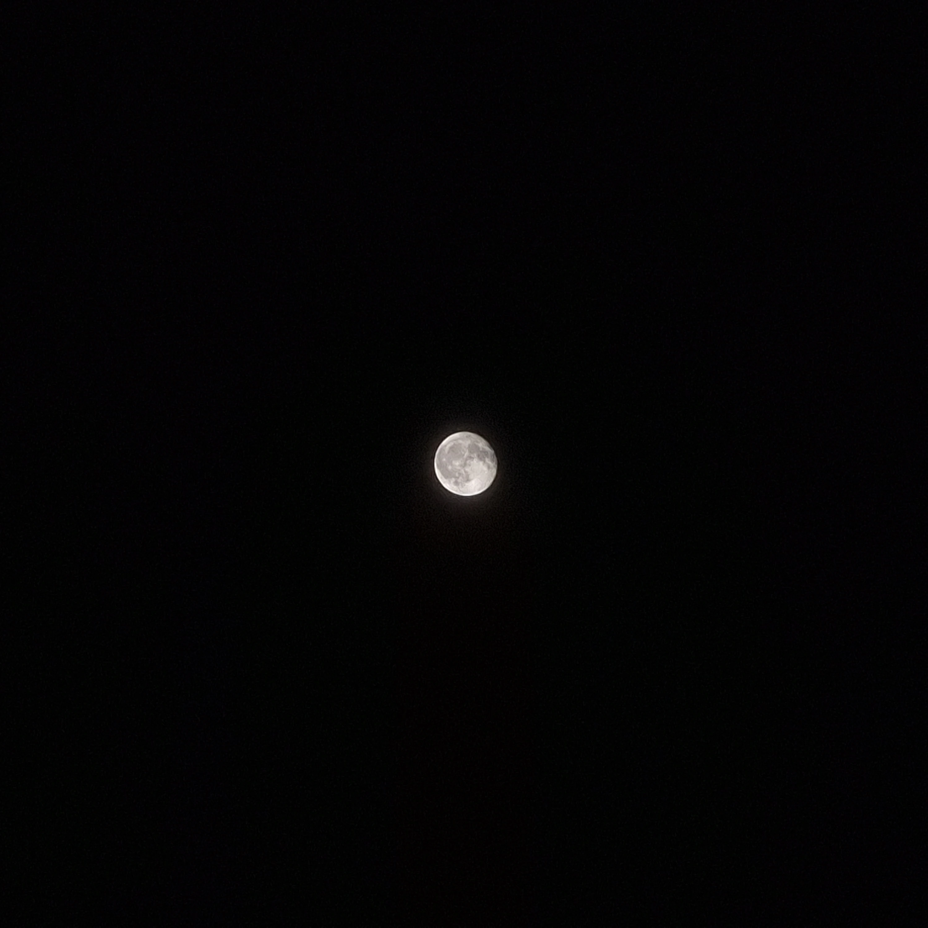 김각별