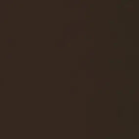 Profile image of 家入硝子