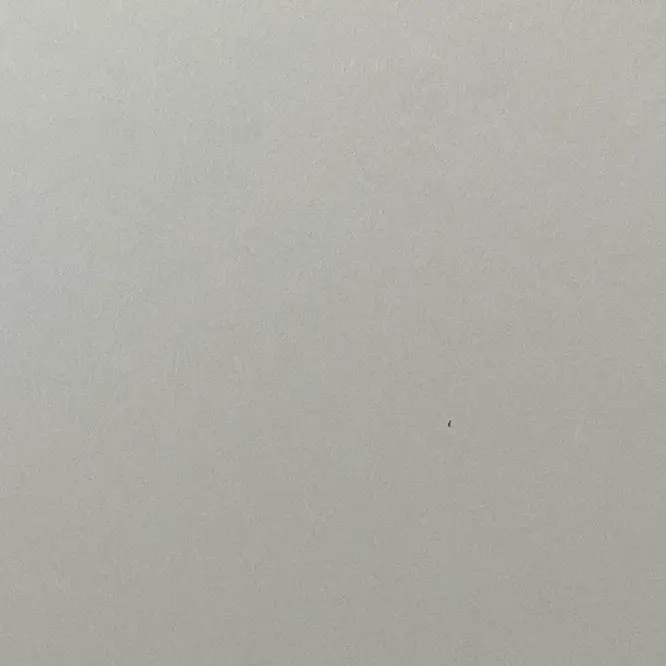 jolly03260326의 리암 타르테