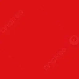 Profile image of 라더