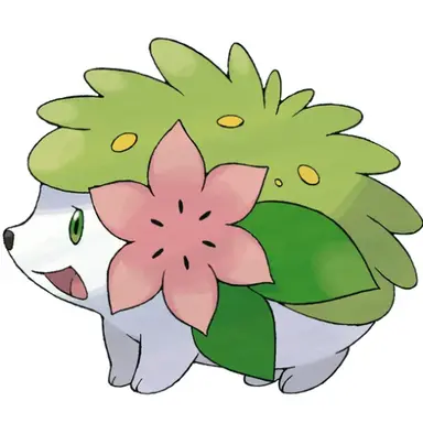 Profile image of 쉐이미
