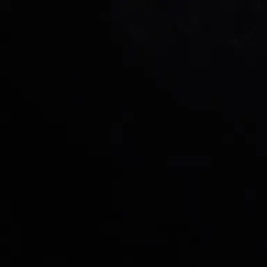 Profile image of CH
