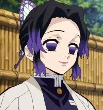 Profile image of 胡蝶しのぶ