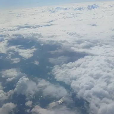 Profile image of 해리