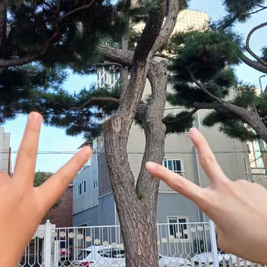 Profile image of 태훈