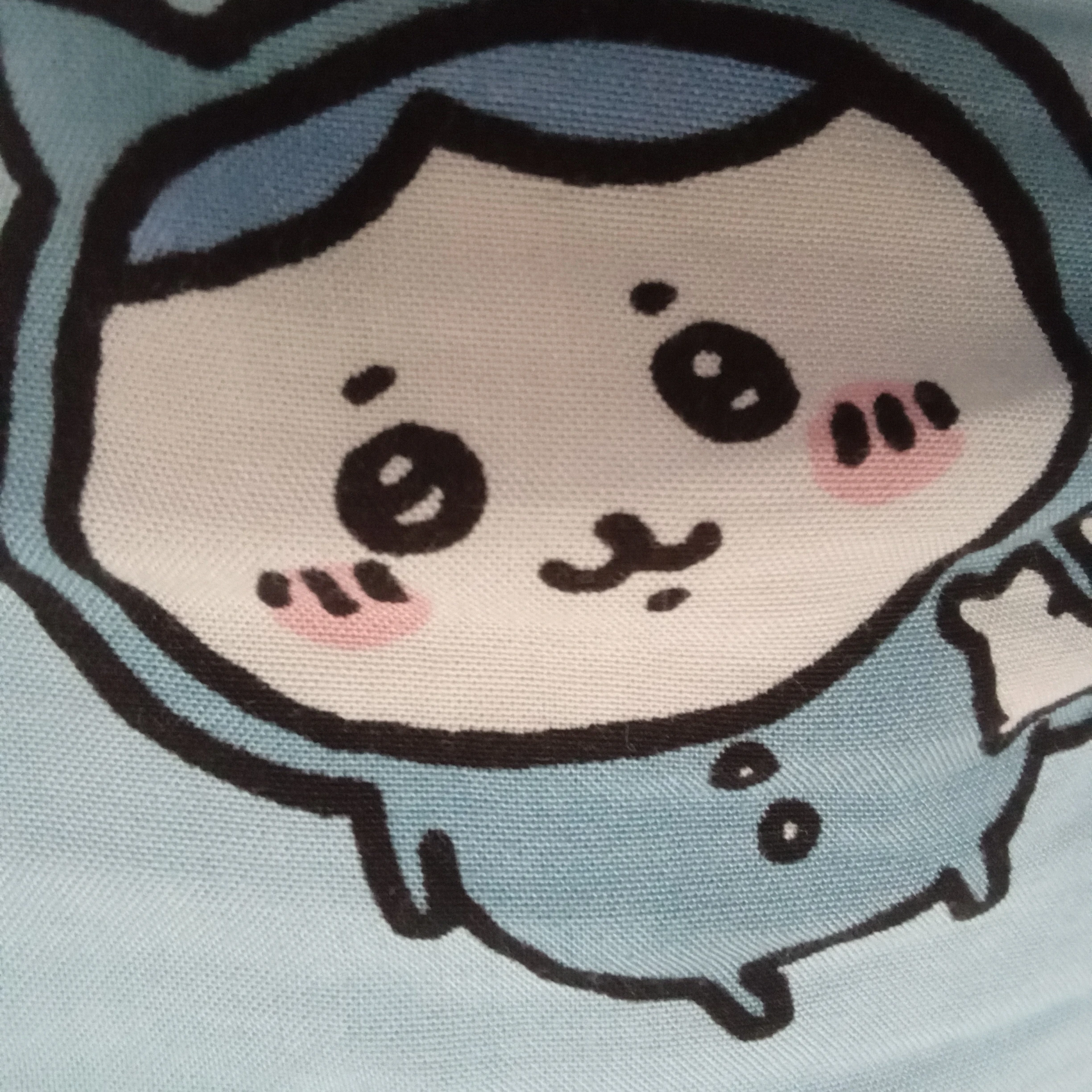 삼성팬