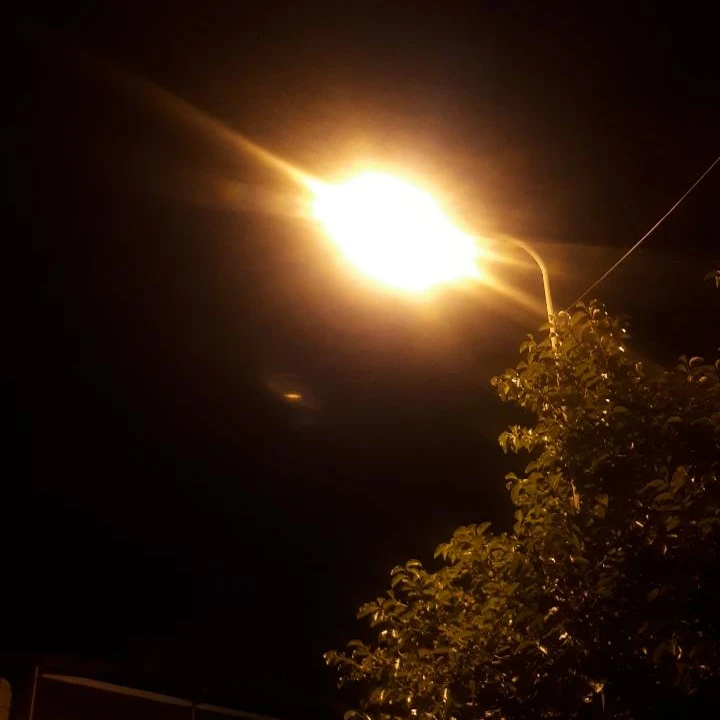 백창기