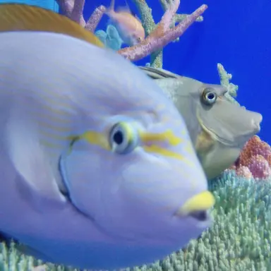 Profile image of うり