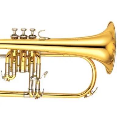Profile image of ミュージック