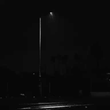 Profile image of 김일영