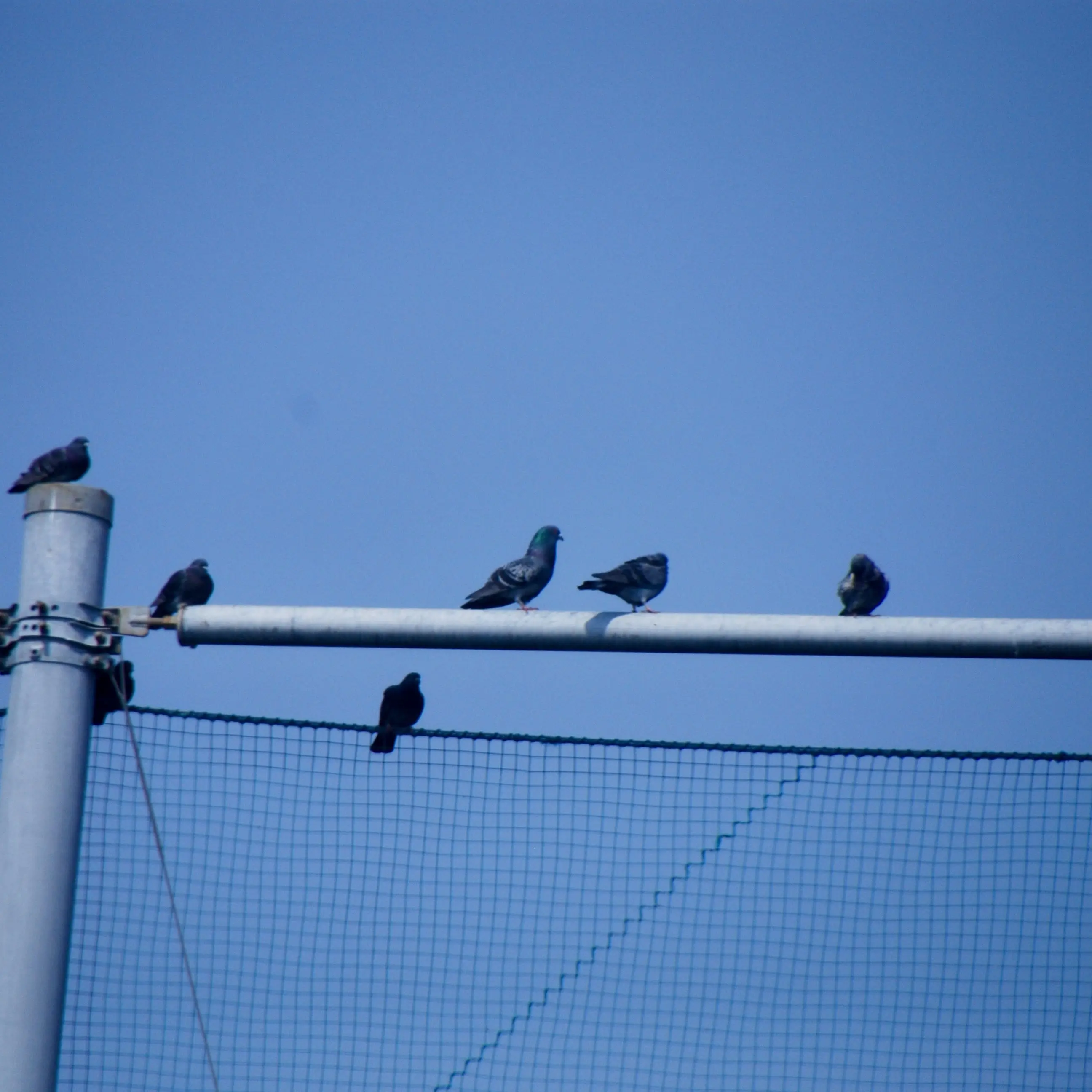 FlakyShow4470의 自分用