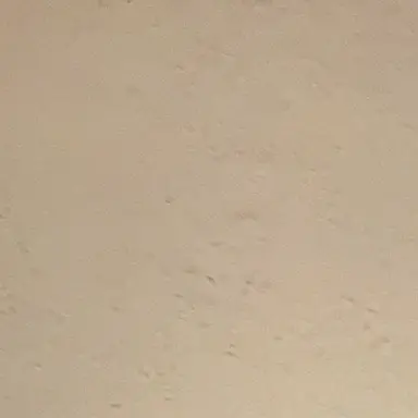 Profile image of 日本