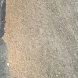 Profile image of 日帝