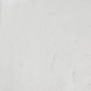 Profile image of ドイツ