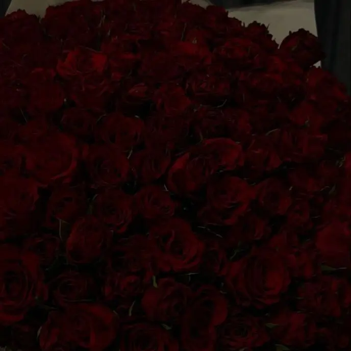 StoutTosa5187의 💐