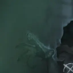 Profile image of ルキノ