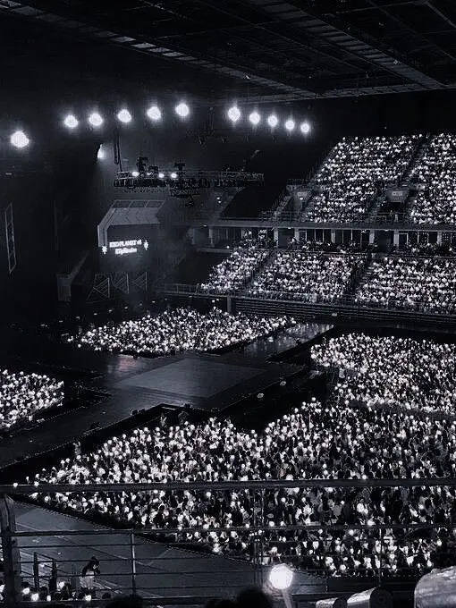 STARz의 나, 아이돌 선언!