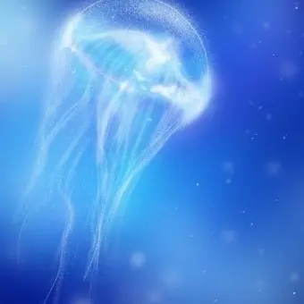 Profile image of 파이브