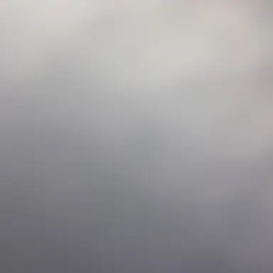 Profile image of 데드