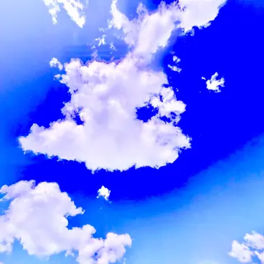 Profile image of 하늘