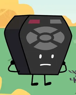 Profile image of Remote