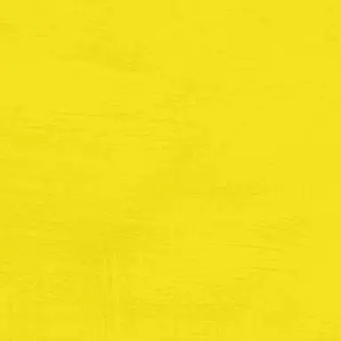 Profile image of 岩本照