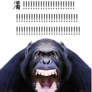 Profile image of 여우