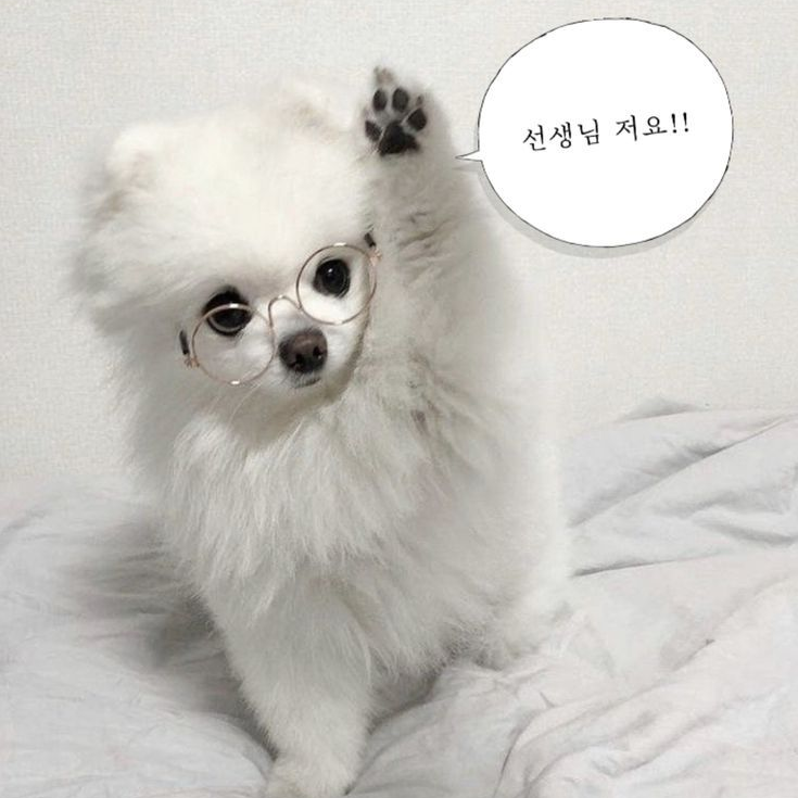 여고RPG 대표 이미지