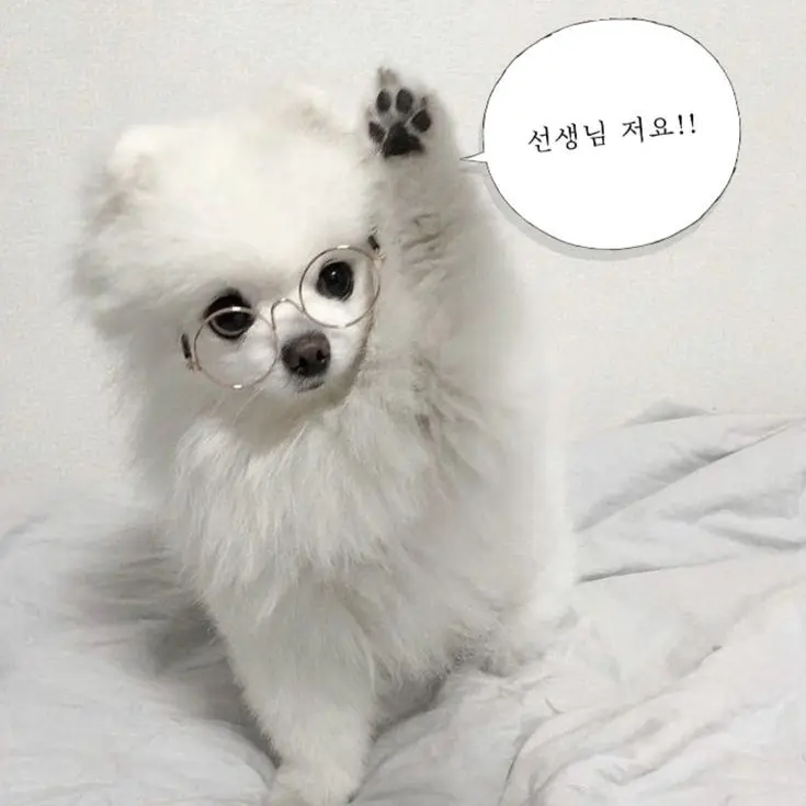 SinfulWhisk4370의 여고RPG
