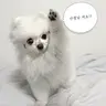Profile image of 여고rpg