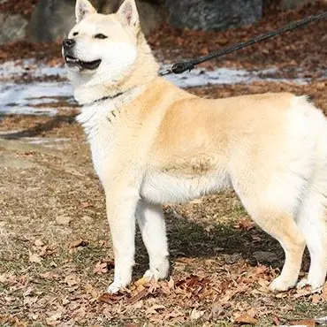 Profile image of 루피