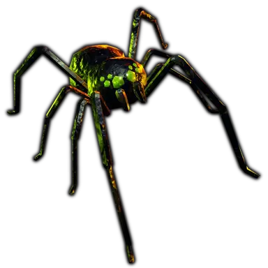 Profile image of 거미