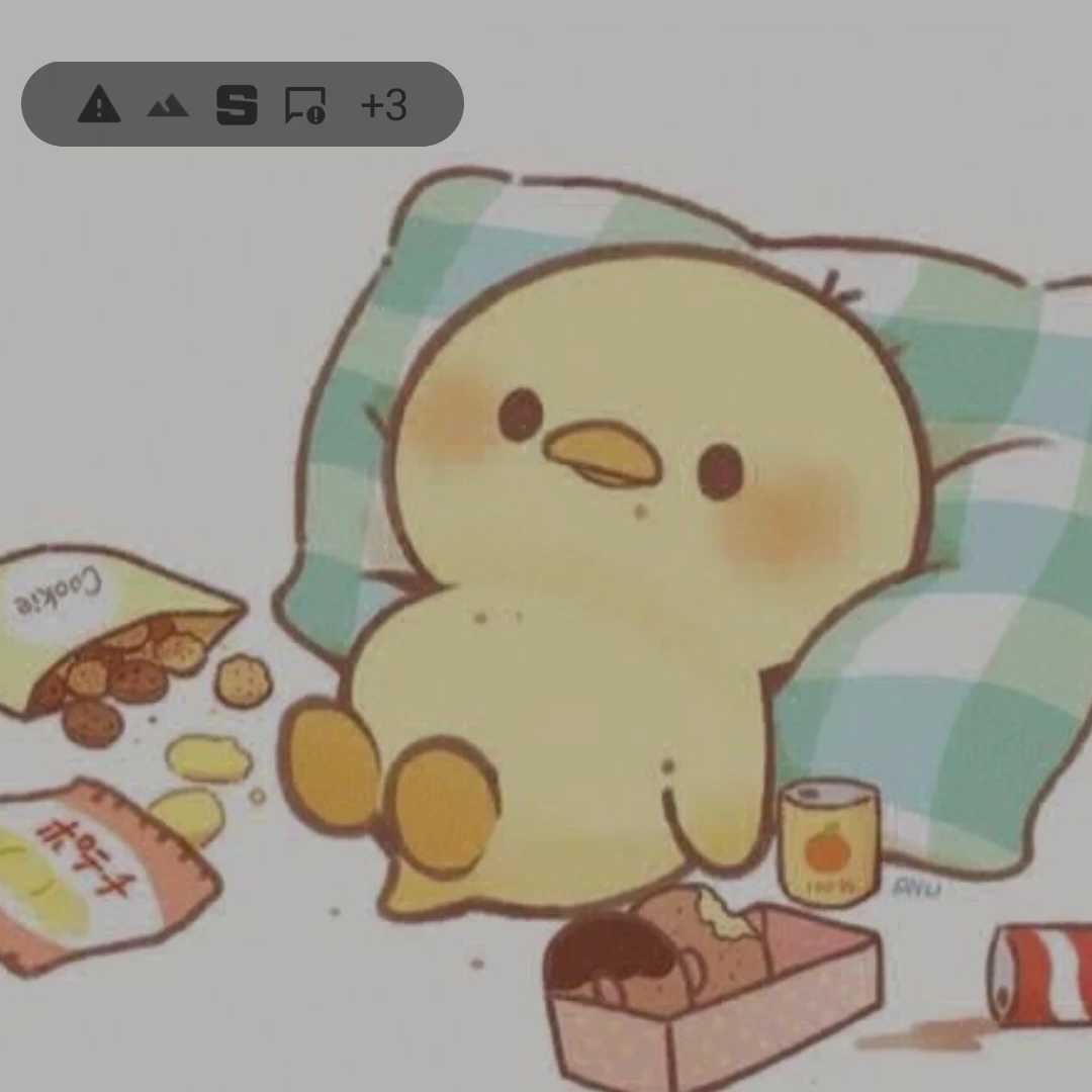 고고프랜즈 제주도